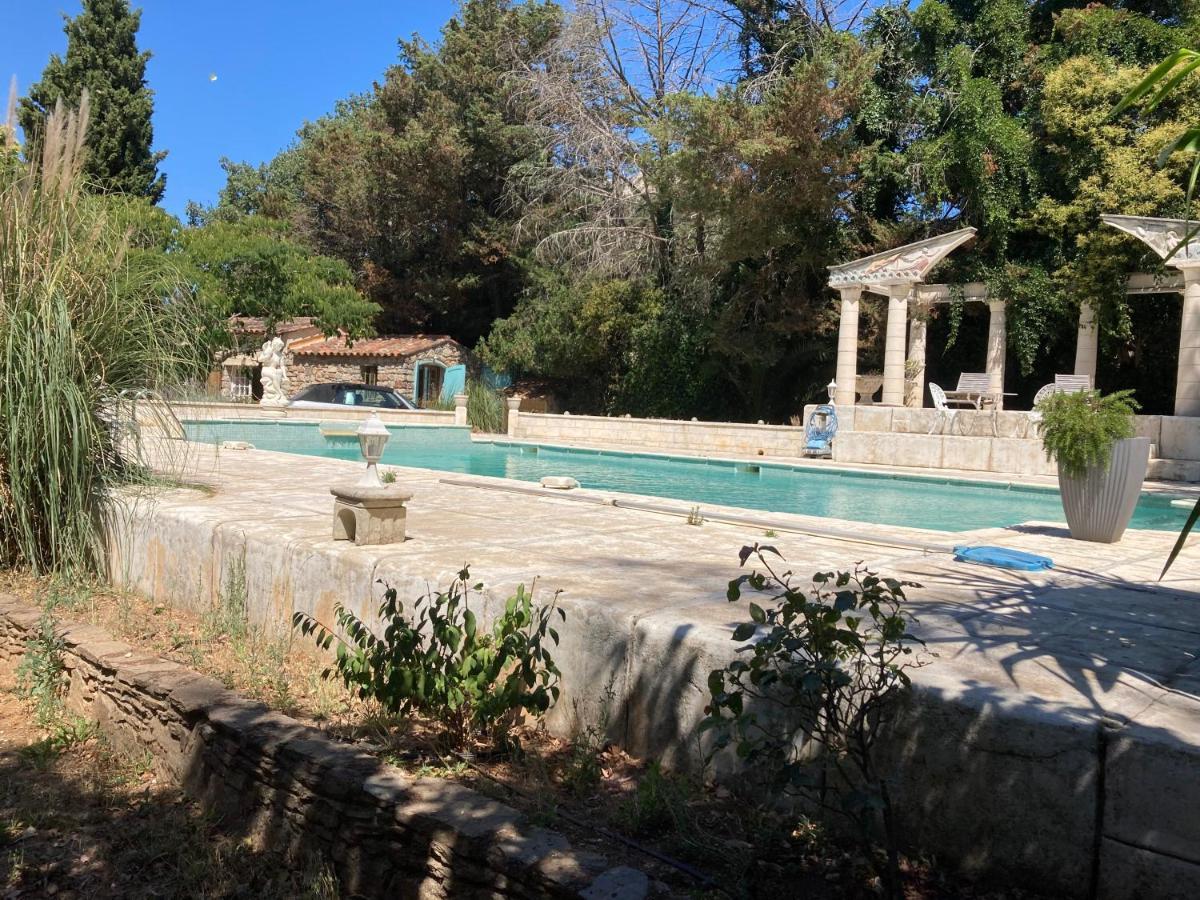 Gite Encore Un Soir Hyères Eksteriør billede